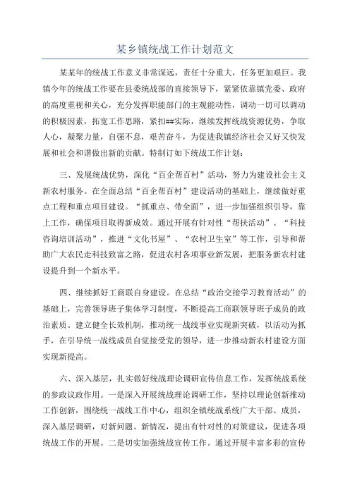 某乡镇统战工作计划范文