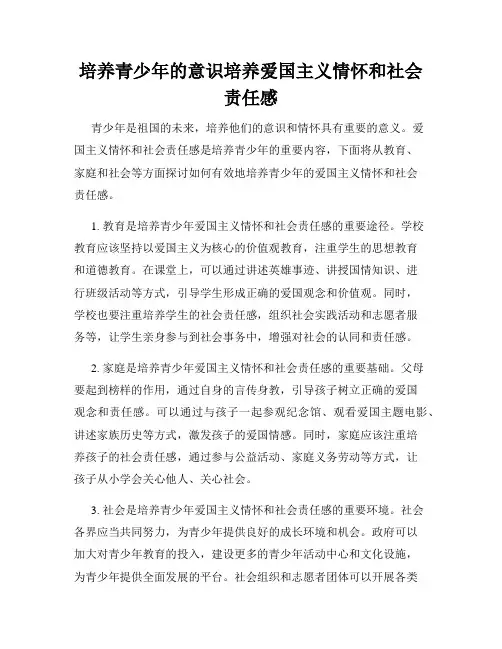 培养青少年的意识培养爱国主义情怀和社会责任感