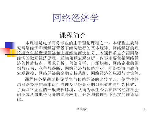 《网络经济学》PPT课件