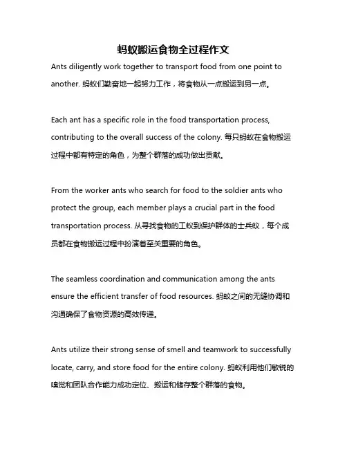蚂蚁搬运食物全过程作文