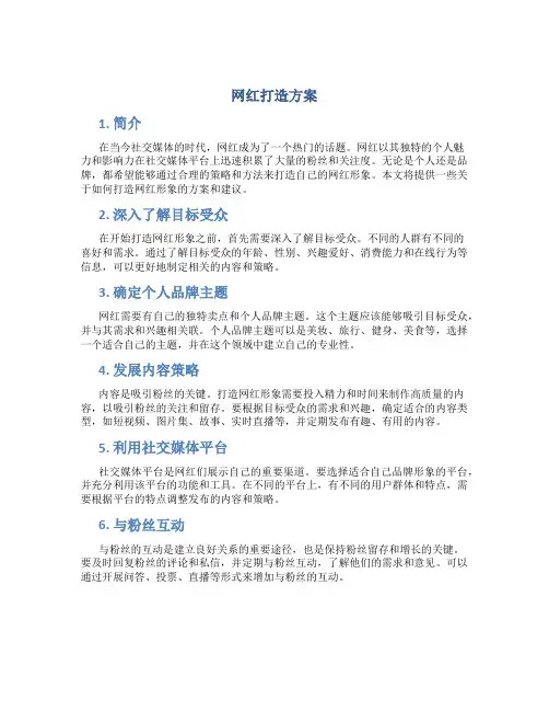 网红打造方案