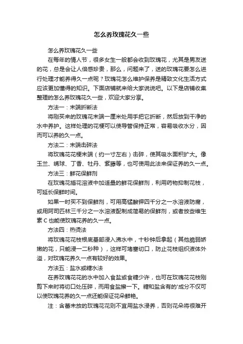 怎么养玫瑰花久一些