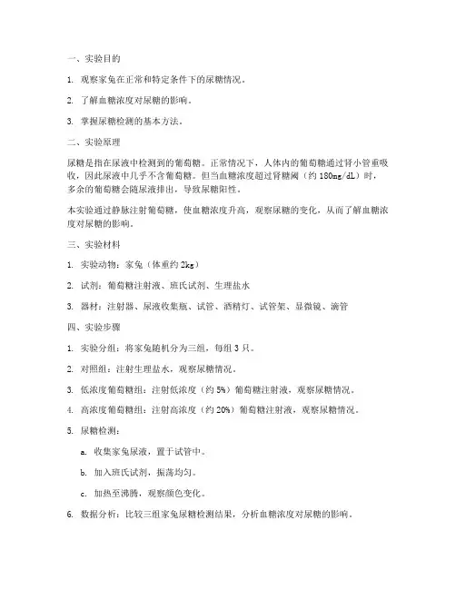 家兔尿糖实验报告