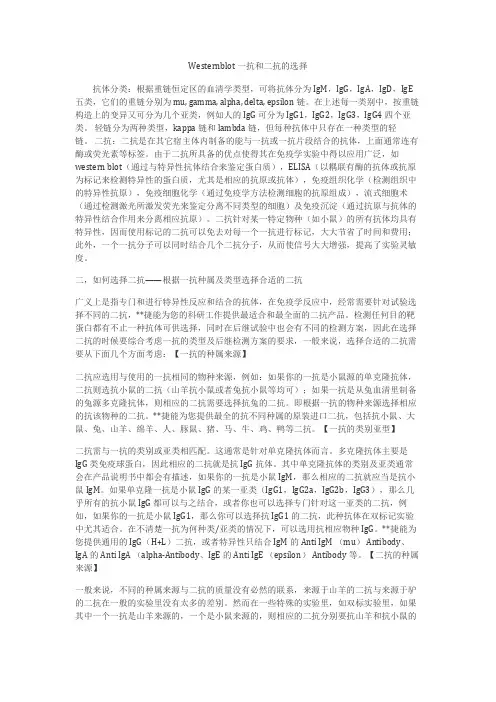 Westernblot一抗和二抗的选择