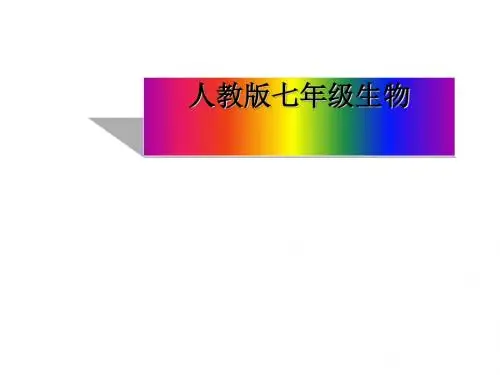 植株的生长PPT课件2