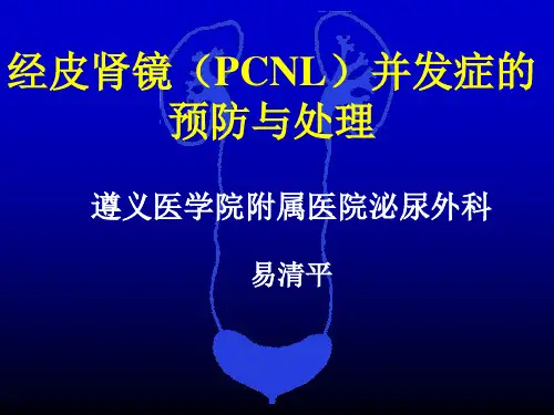 经皮肾镜取石术的并发症防治预防与处理