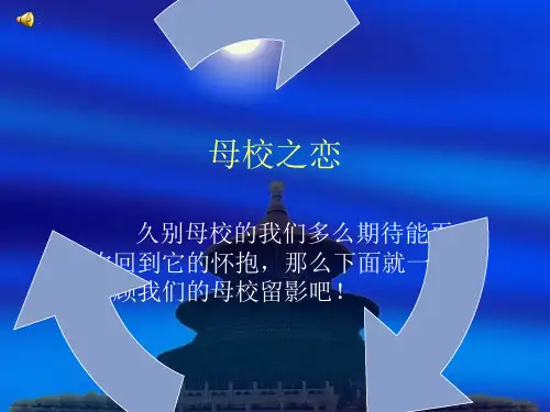 大一计算机 PPT作业