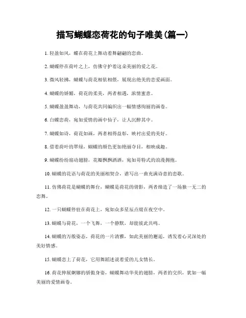 描写蝴蝶恋荷花的句子唯美(精选2篇)