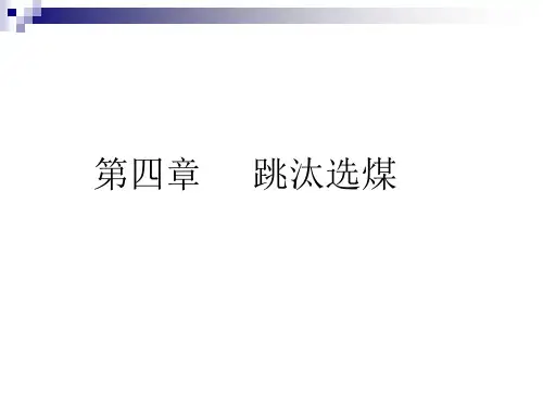 第四章 跳汰选煤