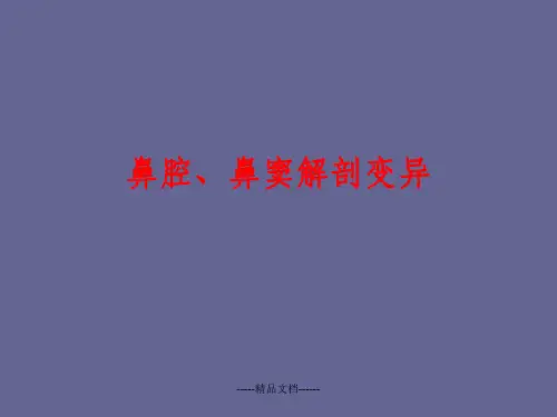 鼻腔、鼻旁窦的解剖变异