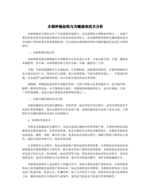 水稻种植结构与关键栽培技术分析