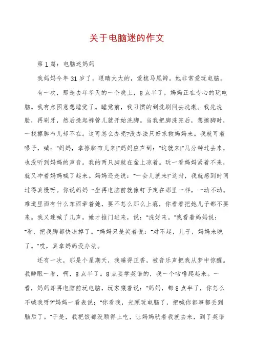 关于电脑迷的作文
