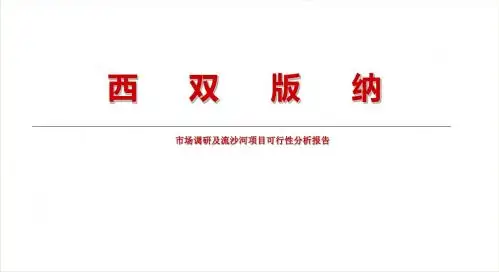 西双版纳流沙河项目市场可行性分析