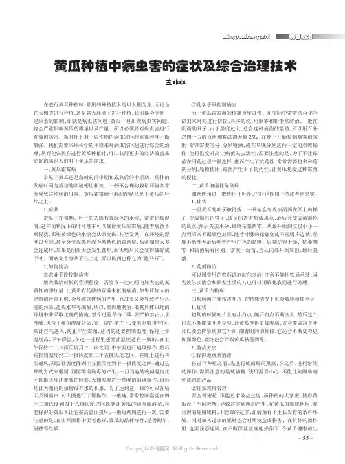 黄瓜种植中病虫害的症状及综合治理技术