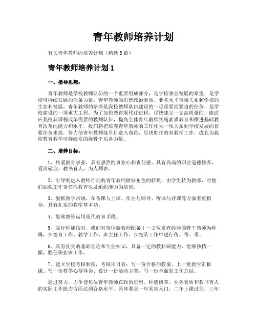 青年教师培养计划