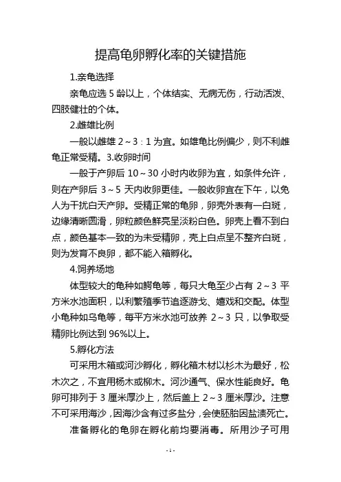 提高龟卵孵化率的关键措施