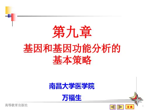 超好研究生分子生物学课件第九章基因和基因功能分析基本策略07