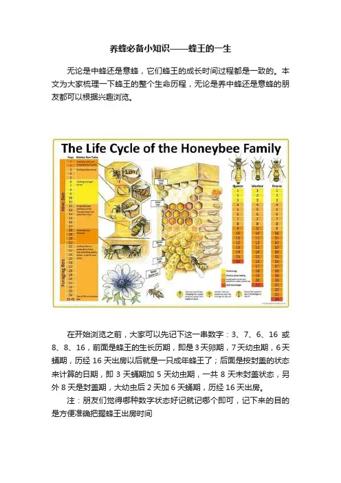 养蜂必备小知识——蜂王的一生