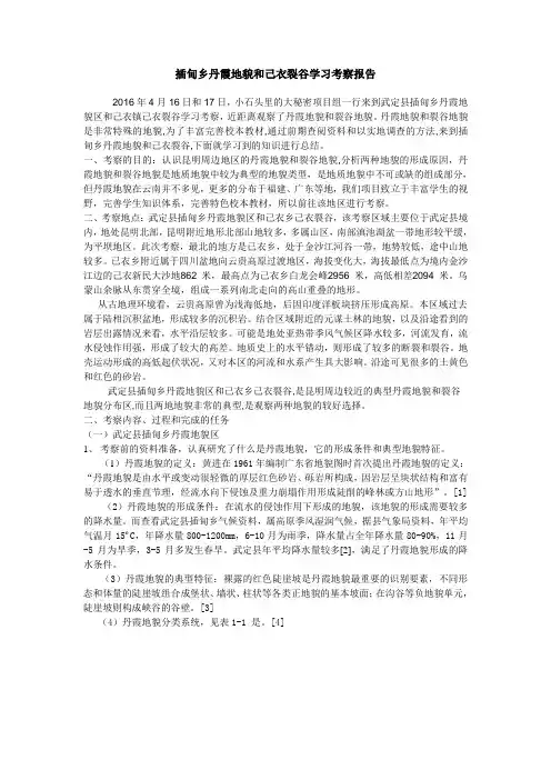 丹霞地貌、裂谷地貌考察报告范文