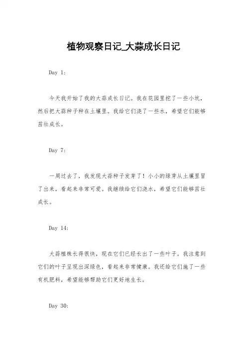 植物观察日记_大蒜成长日记