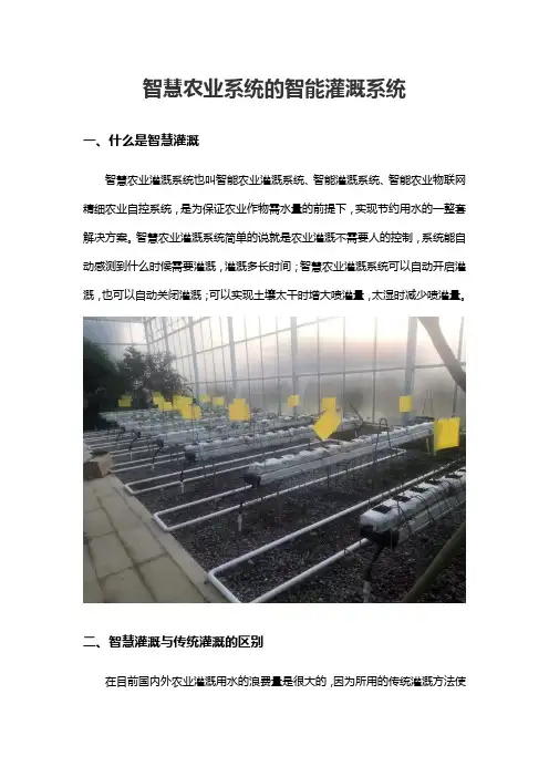 智慧农业系统的智能灌溉系统