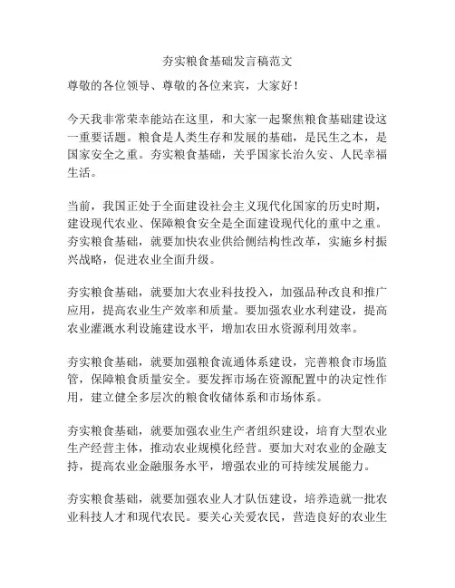 夯实粮食基础发言稿范文