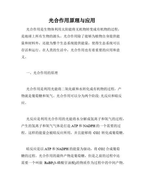 光合作用原理与应用
