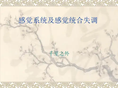 感觉系统及感觉统合失调PPT课件