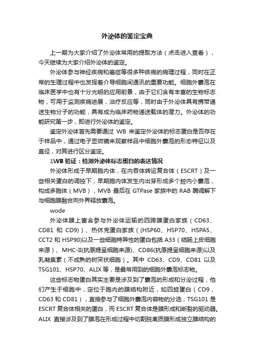 外泌体的鉴定宝典