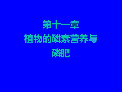 第11章植物磷素营养与磷肥精选文档PPT课件