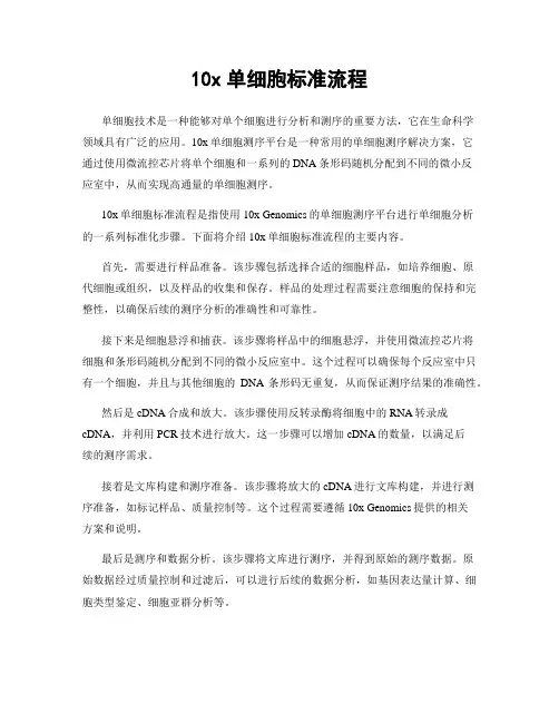 10x单细胞标准流程