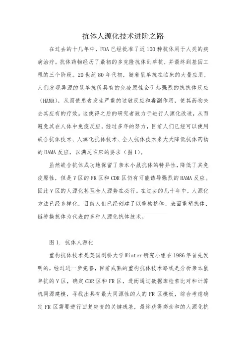 抗体人源化技术进阶之路