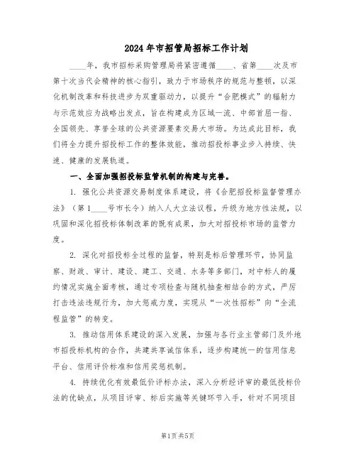 2024年市招管局招标工作计划（二篇）