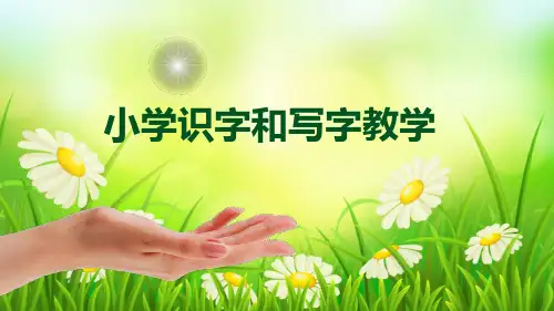 小学生识字和写字教学优质课件