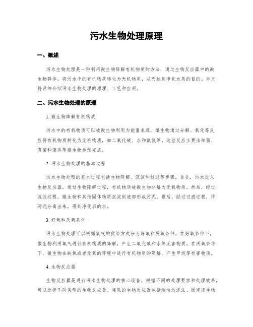 污水生物处理原理