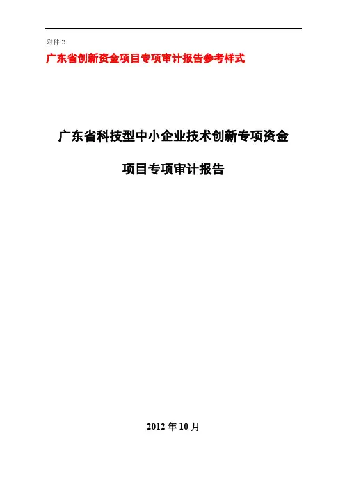 广东省创新资金项目专项审计报告参考样式 