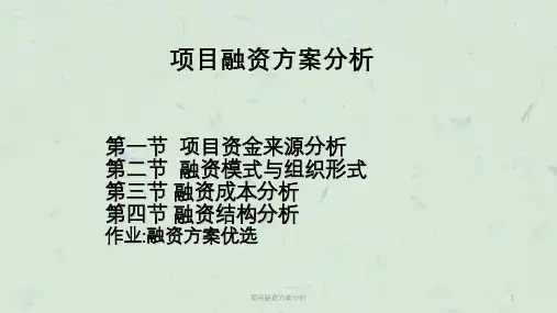 项目融资方案分析课件