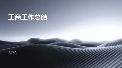 工商工作总结模版PPT