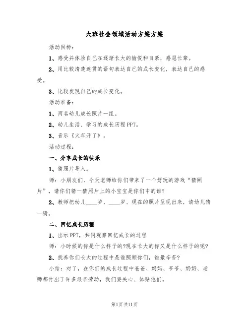 大班社会领域活动方案方案（5篇）