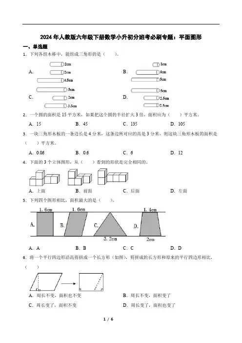 2024年人教版六年级下册数学小升初分班考必刷专题：平面图形