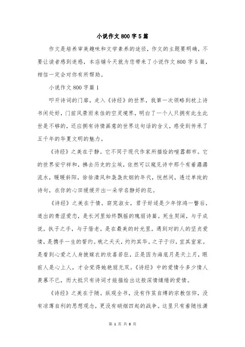 小说作文800字5篇