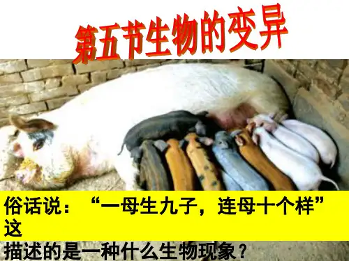 人教版生物八下2.5《生物的变异》课件 (共31张PPT)
