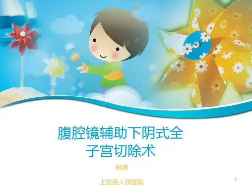 腹腔镜辅助下阴式全子宫切除术PPT课件
