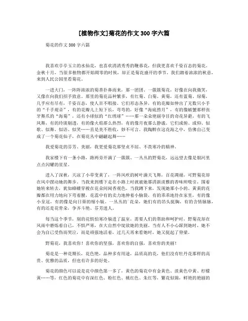 [植物作文]菊花的作文300字六篇