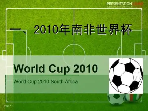 南非世界杯