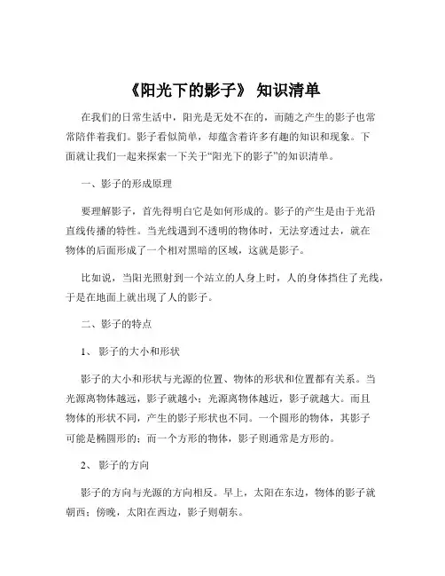 《阳光下的影子》 知识清单