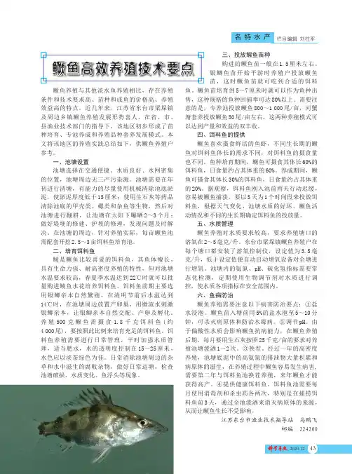 鳜鱼高效养殖技术要点