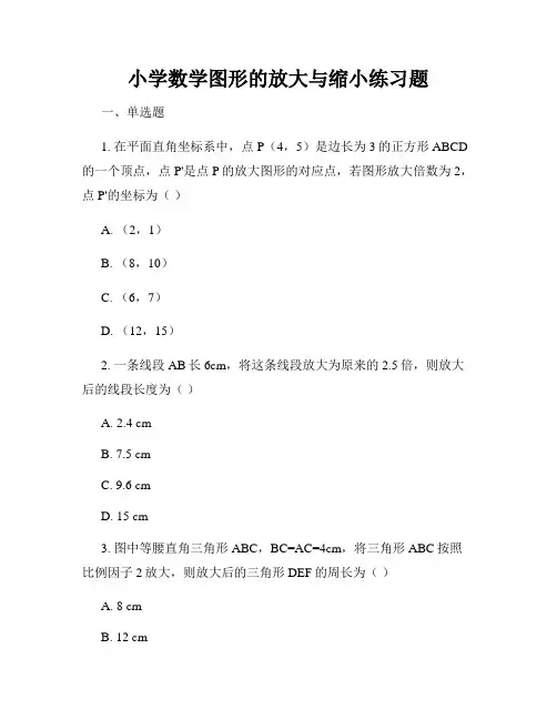 小学数学图形的放大与缩小练习题