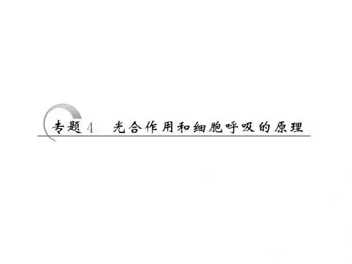 4  光合作用和细胞呼吸的原理解析