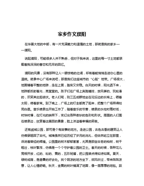 家乡作文濮阳